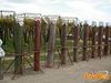 Adelfia_2010_047_Di_Candia.jpg