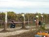 Adelfia_2013_031_Del_Vicario.jpg