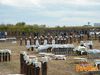 Adelfia_2013_035_Del_Vicario.jpg