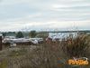 Adelfia_2013_057_Toscano.jpg