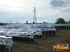 Adelfia_2013_096_Bruscella.jpg