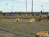Adelfia_2013_159_Chiarappa.jpg