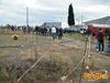 Adelfia_2013_161_Chiarappa.jpg
