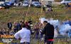 Adelfia_2013_165_Chiarappa.jpg
