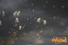 Adelfia_2013_237_fuochi_diurni.jpg