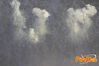Adelfia_2013_242_fuochi_diurni.jpg