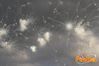 Adelfia_2013_245_fuochi_diurni.jpg