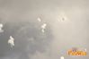 Adelfia_2013_250_fuochi_diurni.jpg