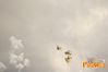 Adelfia_2013_252_fuochi_diurni.jpg