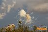 Adelfia_2013_279_fuochi_diurni.jpg