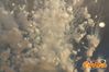 Adelfia_2013_282_fuochi_diurni.jpg