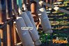 Filename=Adelfia_2016_018_Senatore.jpg
Filesize=223KB
Dimensions=1024x682
Date added=Jan 21, 2017 Adelfia_2016_018_Senatore.jpg