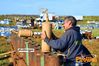 Filename=Adelfia_2016_019_Senatore.jpg
Filesize=221KB
Dimensions=1024x682
Date added=Jan 21, 2017 Adelfia_2016_019_Senatore.jpg
