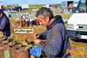 Filename=Adelfia_2016_021_Senatore.jpg
Filesize=232KB
Dimensions=1024x682
Date added=Jan 21, 2017 Adelfia_2016_021_Senatore.jpg