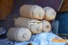 Filename=Adelfia_2016_022_Senatore.jpg
Filesize=175KB
Dimensions=1024x682
Date added=Jan 21, 2017 Adelfia_2016_022_Senatore.jpg