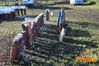 Filename=Adelfia_2016_064_Toscano.jpg
Filesize=383KB
Dimensions=1024x682
Date added=Jan 21, 2017 Adelfia_2016_064_Toscano.jpg