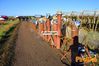 Filename=Adelfia_2016_071_Toscano.jpg
Filesize=285KB
Dimensions=1024x682
Date added=Jan 21, 2017 Adelfia_2016_071_Toscano.jpg
