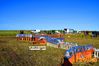 Filename=Adelfia_2016_075_Toscano.jpg
Filesize=230KB
Dimensions=1024x682
Date added=Jan 21, 2017 Adelfia_2016_075_Toscano.jpg