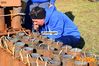Filename=Adelfia_2016_078_Toscano.jpg
Filesize=259KB
Dimensions=1024x682
Date added=Jan 21, 2017 Adelfia_2016_078_Toscano.jpg