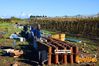 Filename=Adelfia_2016_094_Di_Candia.jpg
Filesize=279KB
Dimensions=1024x682
Date added=Jan 21, 2017 Adelfia_2016_094_Di_Candia.jpg