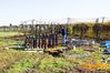 Filename=Adelfia_2016_096_Di_Candia.jpg
Filesize=316KB
Dimensions=1024x682
Date added=Jan 21, 2017 Adelfia_2016_096_Di_Candia.jpg