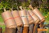 Filename=Adelfia_2016_097_Di_Candia.jpg
Filesize=210KB
Dimensions=1024x682
Date added=Jan 21, 2017 Adelfia_2016_097_Di_Candia.jpg