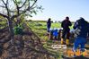 Filename=Adelfia_2016_119_Pannella.jpg
Filesize=296KB
Dimensions=1024x682
Date added=Jan 21, 2017 Adelfia_2016_119_Pannella.jpg