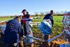 Filename=Adelfia_2016_122_Pannella.jpg
Filesize=239KB
Dimensions=1024x682
Date added=Jan 21, 2017 Adelfia_2016_122_Pannella.jpg
