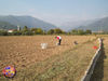 Filename=allestimenti_alessi_18.jpg
Filesize=273KB
Dimensions=1024x768
Date added=Nov 08, 2008 allestimenti_alessi_18.jpg