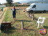 Filename=allestimenti_ppp_09.jpg
Filesize=345KB
Dimensions=1024x768
Date added=Nov 08, 2008 allestimenti_ppp_09.jpg