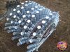 pirotecnica_abruzzese_11.jpg
