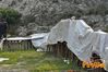 Bellona_2011_06_diurno_Siciliano_Pierluigi.jpg
