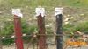 Burgio_2011_12_Di_Candia.jpg