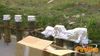 Burgio_2011_13_Di_Candia.jpg