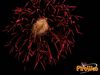 Caput_Lucis_2011_233_fuochi.jpg