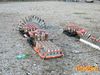 Caput_Lucis_2014_050_Giuliani.jpg