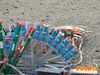 Caput_Lucis_2014_106_Raffaele.jpg