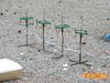 Caput_Lucis_2014_108_Raffaele.jpg