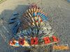 Caput_Lucis_2014_115_Raffaele.jpg
