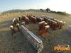 Caput_Lucis_2014_121_Raffaele.jpg