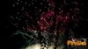 Caput_Lucis_2014_156_fuochi.jpg