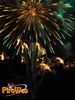 Caput_Lucis_2014_193_fuochi.jpg