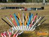 Caput_Lucis_2016_051_Alessi.jpg