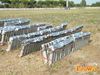 Filename=Caput_Lucis_2016_088_Mega.jpg
Filesize=354KB
Dimensions=1024x768
Date added=Sep 09, 2016 Caput_Lucis_2016_088_Mega.jpg
