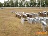 Filename=Caput_Lucis_2016_122_Raffaele.jpg
Filesize=324KB
Dimensions=1024x768
Date added=Sep 09, 2016 Caput_Lucis_2016_122_Raffaele.jpg