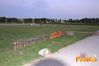 Caserta_2012_24_allestimenti.jpg