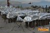 Cetara_2013_08_Ferraro.jpg