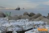 Cetara_2013_13_Ferraro.jpg