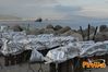 Cetara_2013_14_Ferraro.jpg