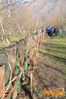 Filename=Cicciano_2011_18_Romano.jpg
Filesize=481KB
Dimensions=680x1024
Date added=Jan 19, 2011 Cicciano_2011_18_Romano.jpg